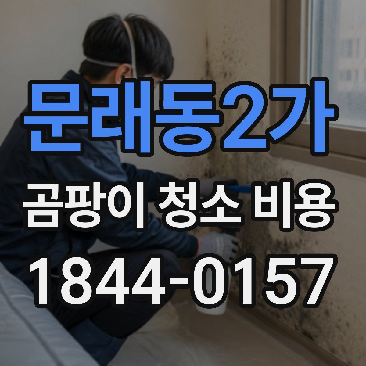 문래동2가 곰팡이 청소 비용