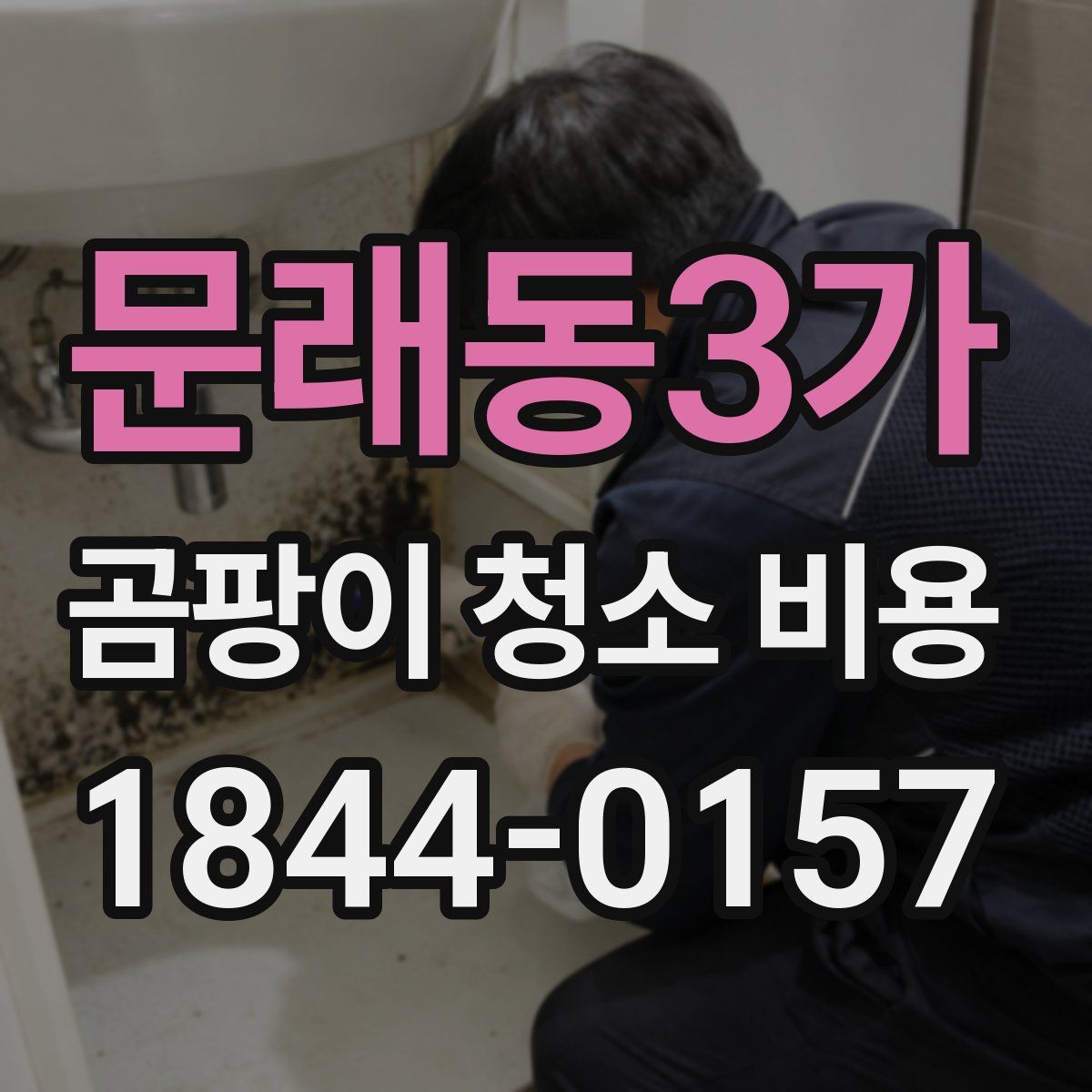 문래동3가 곰팡이 청소 비용