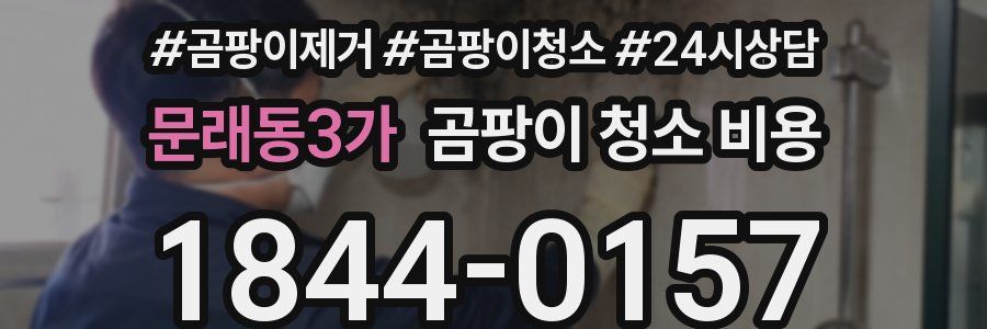 문래동3가 곰팡이 청소 비용