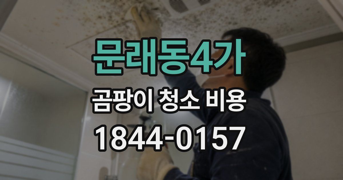 문래동4가 곰팡이 청소 비용