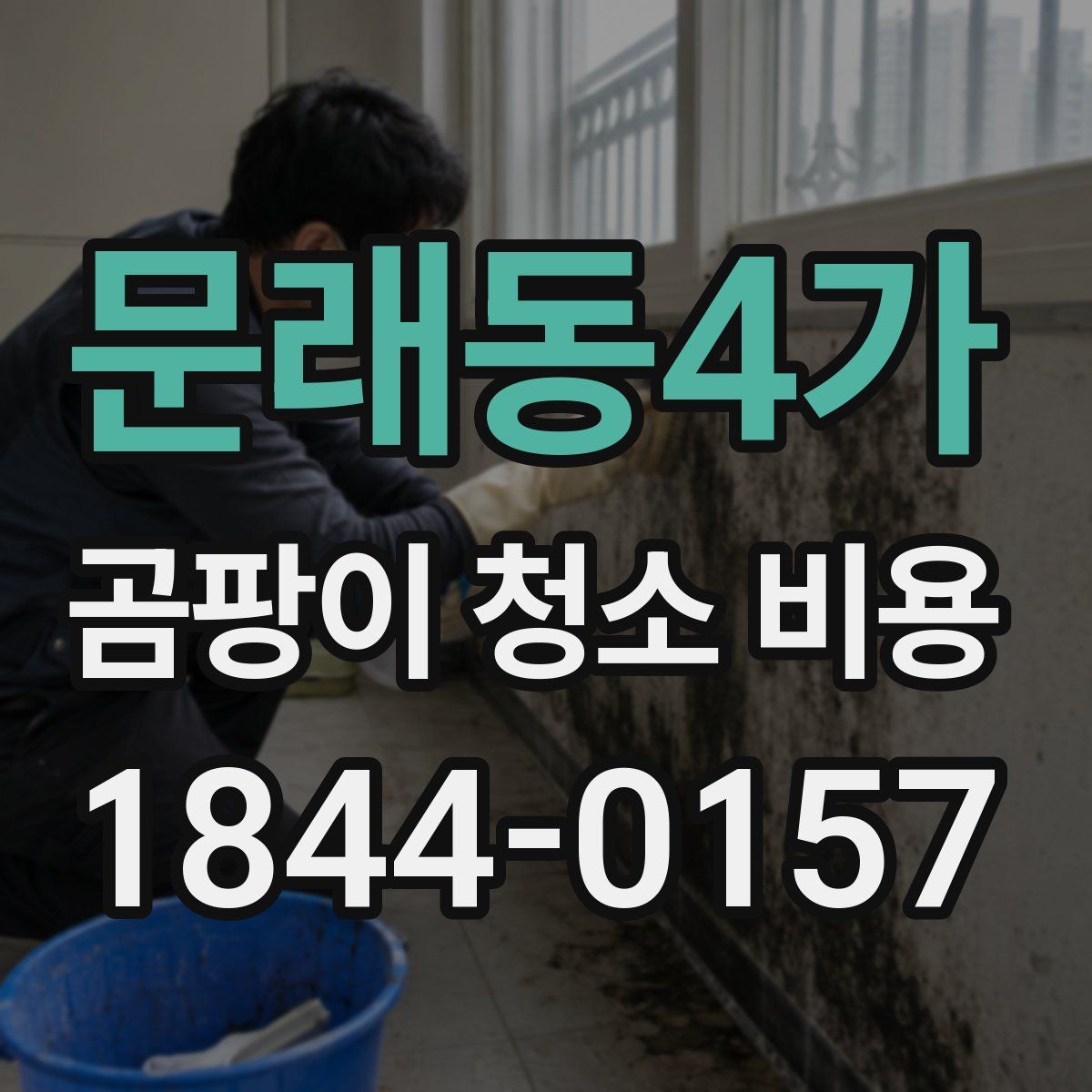 문래동4가 곰팡이 청소 비용