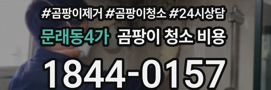 문래동4가 곰팡이 청소 비용