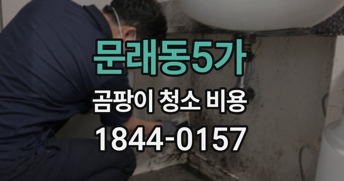 문래동5가 곰팡이 청소 비용