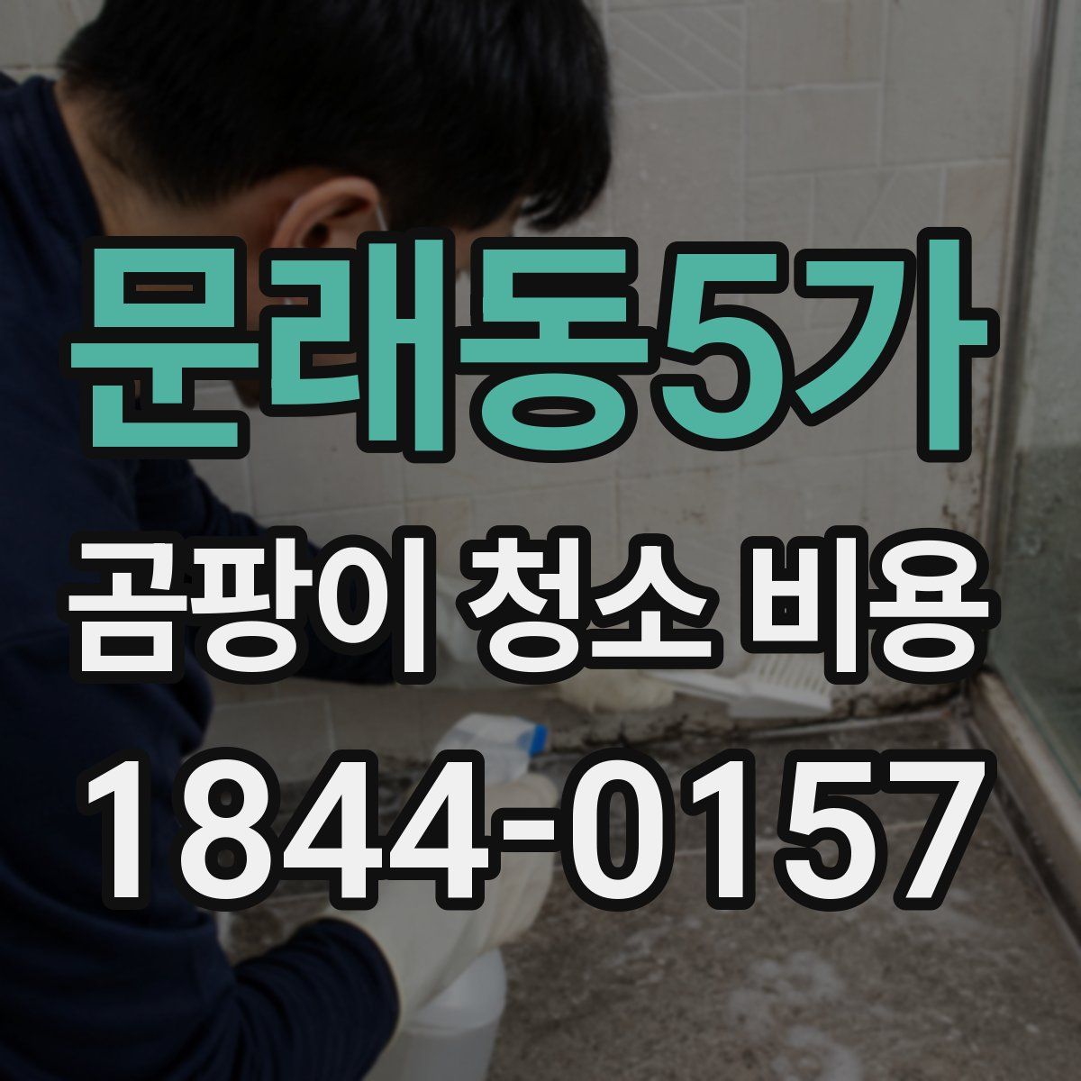 문래동5가 곰팡이 청소 비용