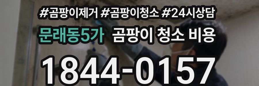 문래동5가 곰팡이 청소 비용