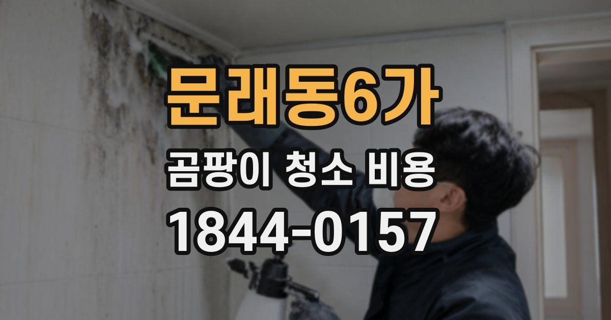 문래동6가 곰팡이 청소 비용
