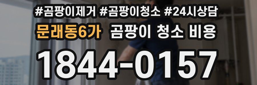 문래동6가 곰팡이 청소 비용