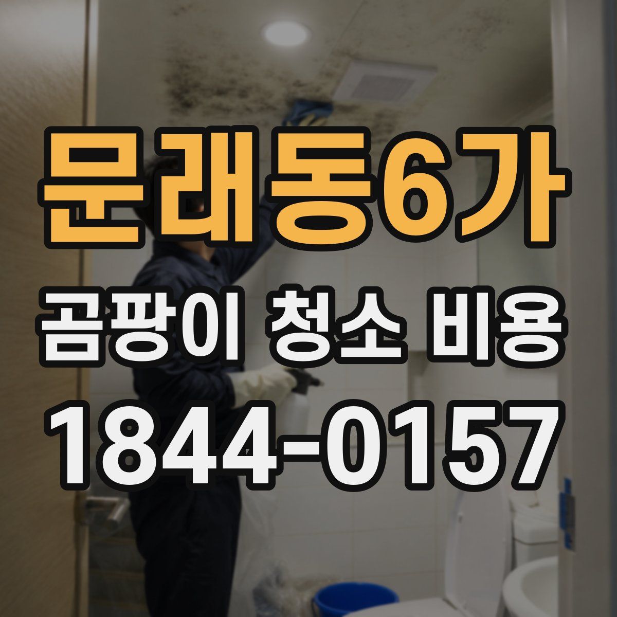 문래동6가 곰팡이 청소 비용