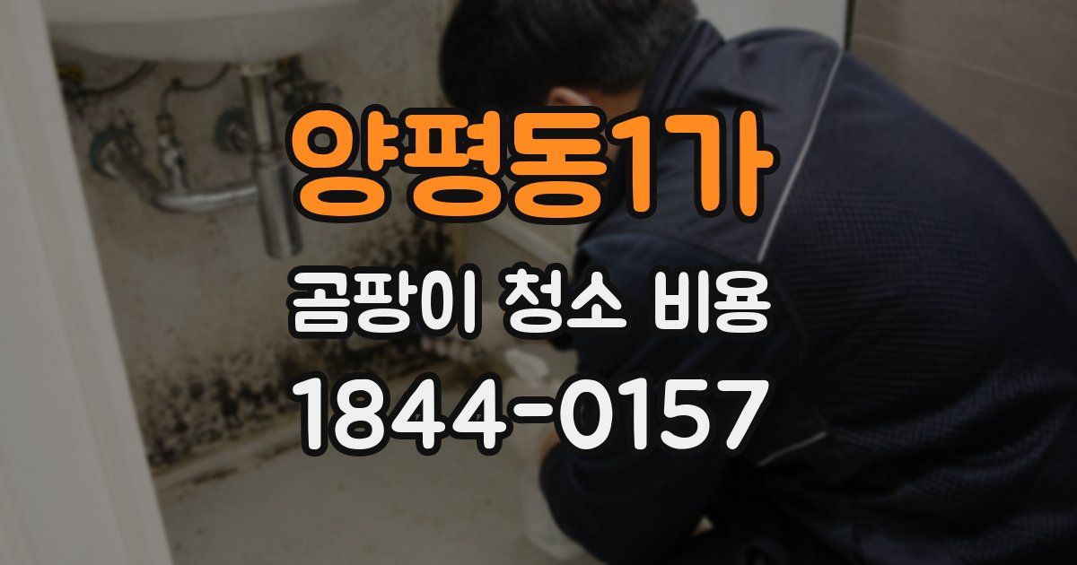양평동1가 곰팡이 청소 비용