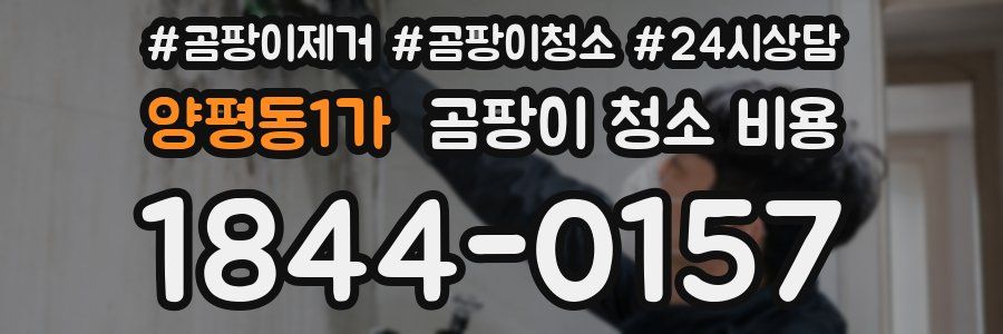 양평동1가 곰팡이 청소 비용