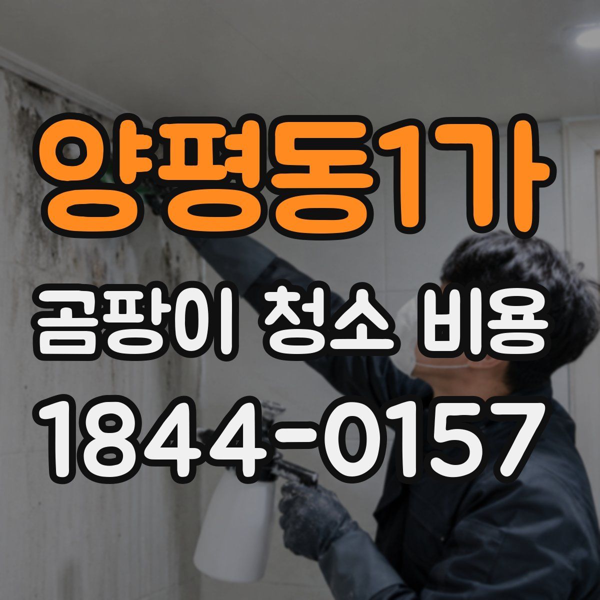 양평동1가 곰팡이 청소 비용