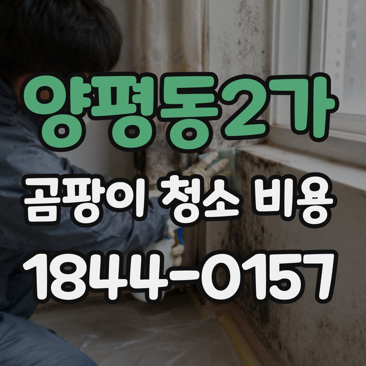 양평동2가 곰팡이 청소 비용