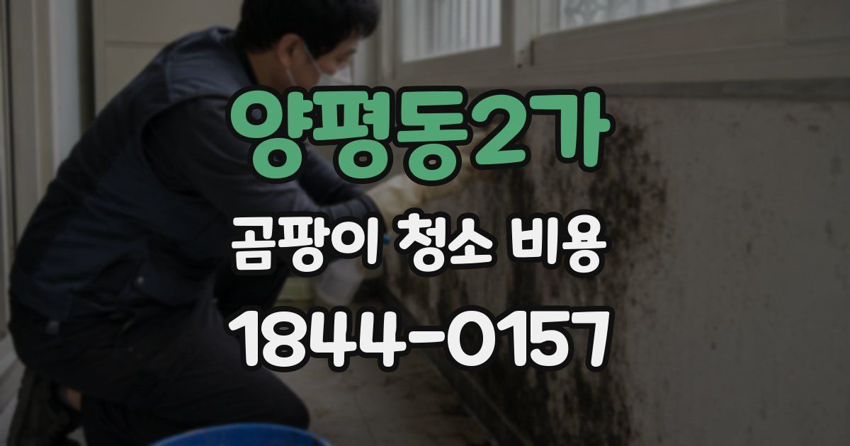 양평동2가 곰팡이 청소 비용