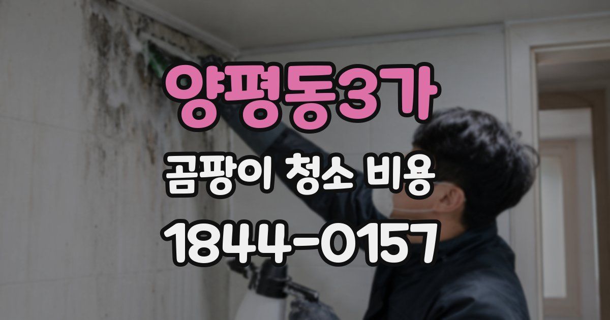양평동3가 곰팡이 청소 비용