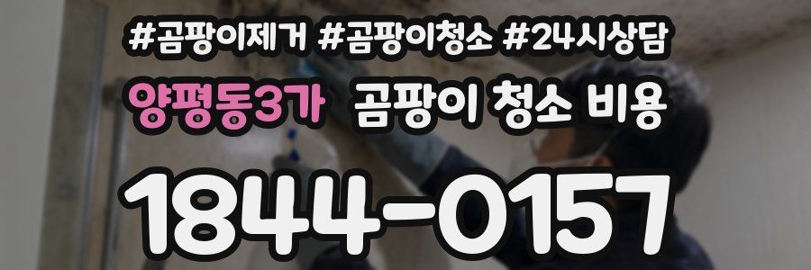 양평동3가 곰팡이 청소 비용