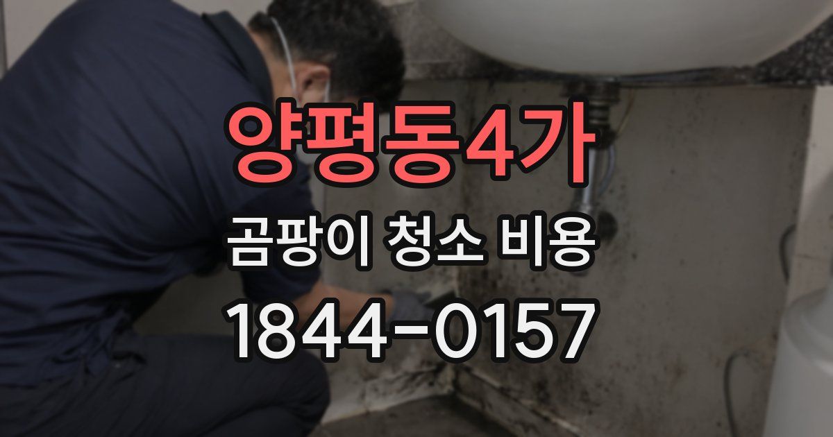 양평동4가 곰팡이 청소 비용