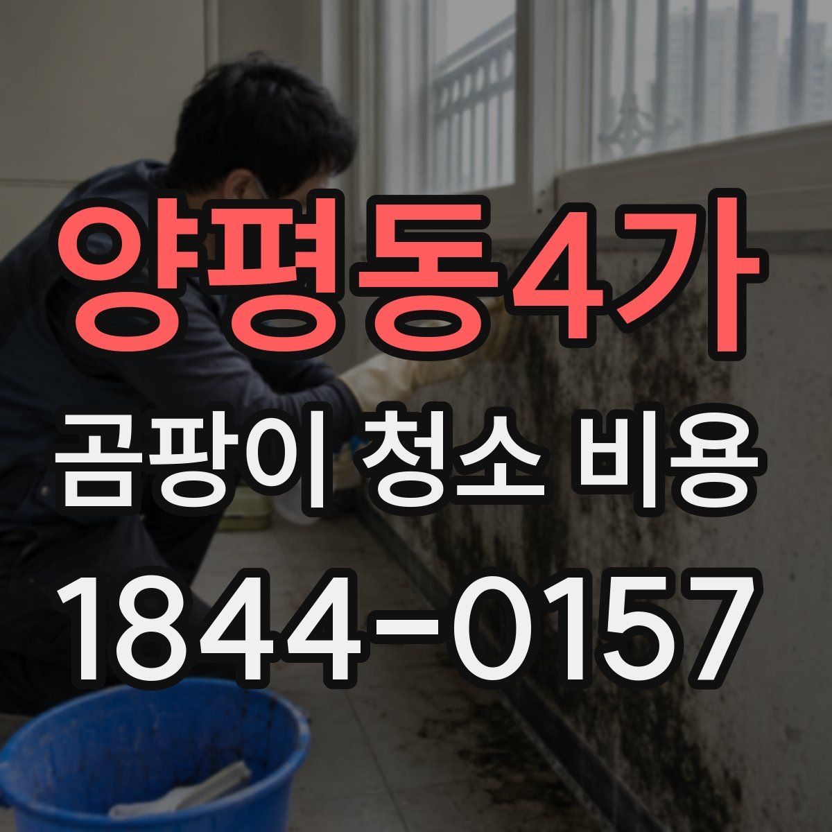 양평동4가 곰팡이 청소 비용