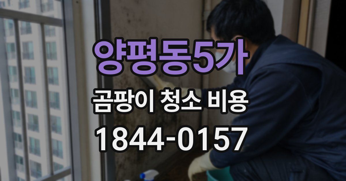 양평동5가 곰팡이 청소 비용