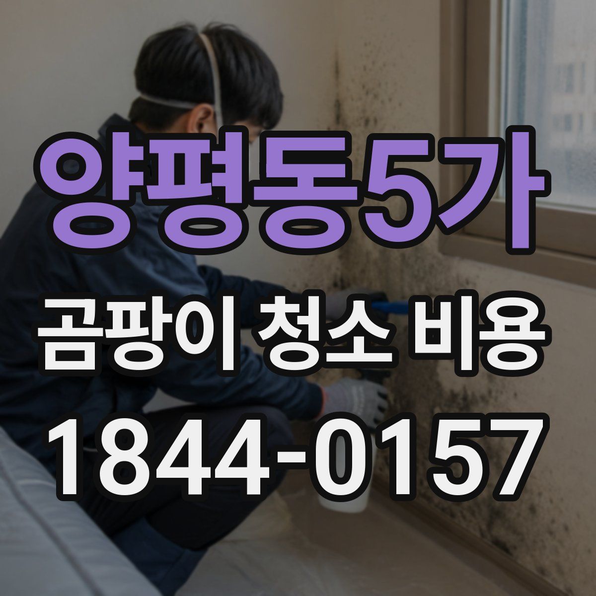 양평동5가 곰팡이 청소 비용
