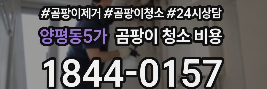양평동5가 곰팡이 청소 비용