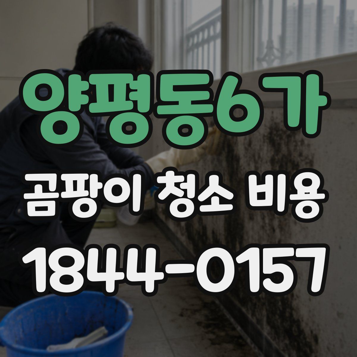 양평동6가 곰팡이 청소 비용