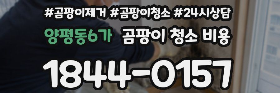 양평동6가 곰팡이 청소 비용