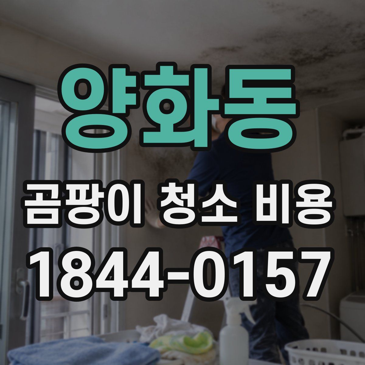 양화동 곰팡이 청소 비용