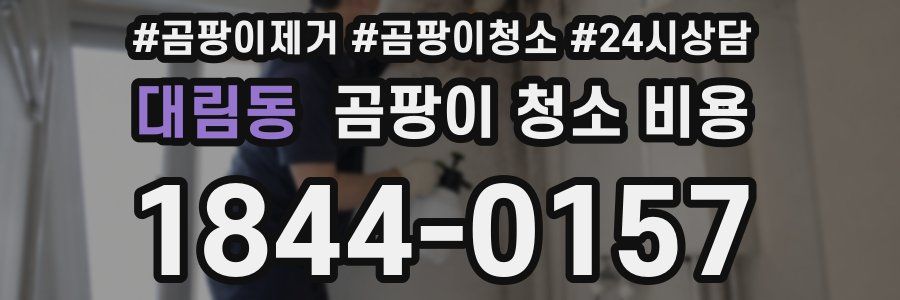 대림동 곰팡이 청소 비용