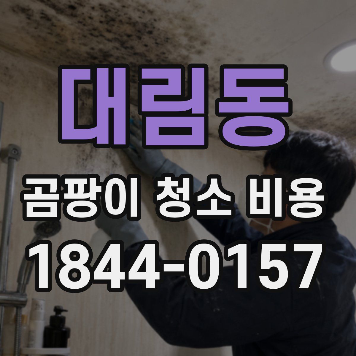 대림동 곰팡이 청소 비용