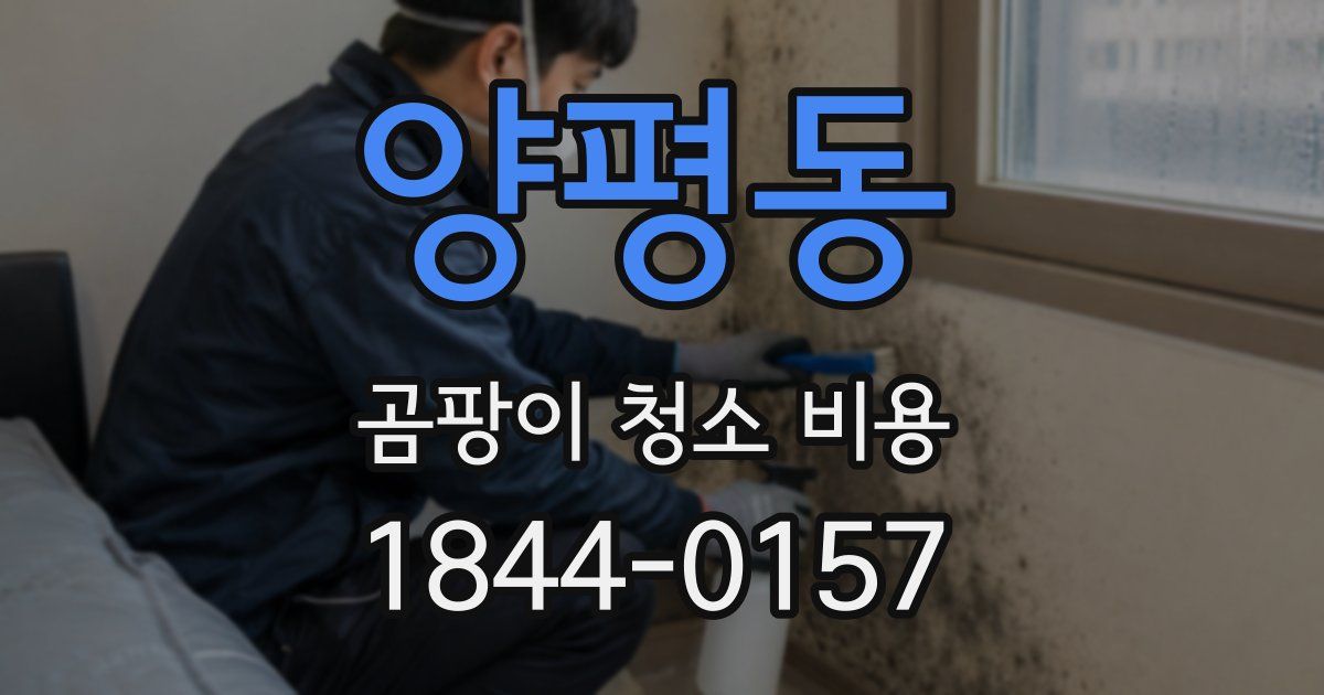 양평동 곰팡이 청소 비용