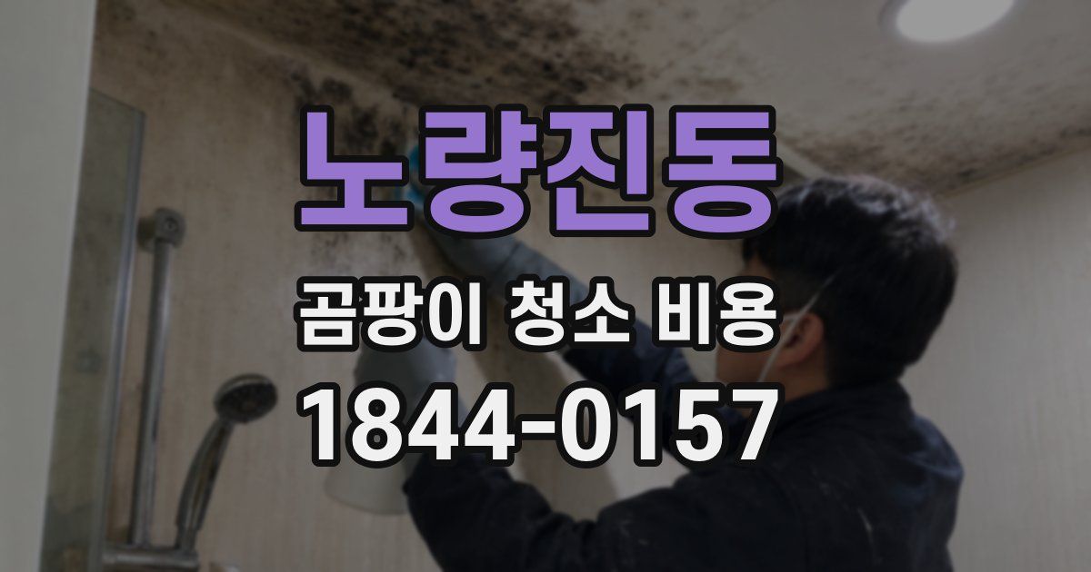노량진동 곰팡이 청소 비용