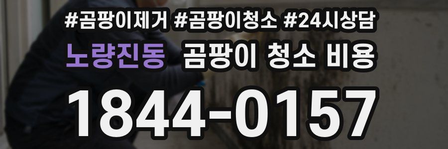 노량진동 곰팡이 청소 비용
