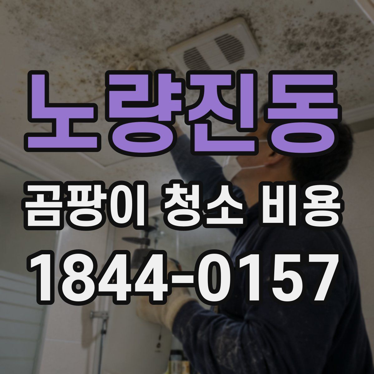 노량진동 곰팡이 청소 비용