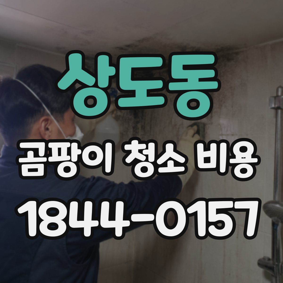 상도동 곰팡이 청소 비용