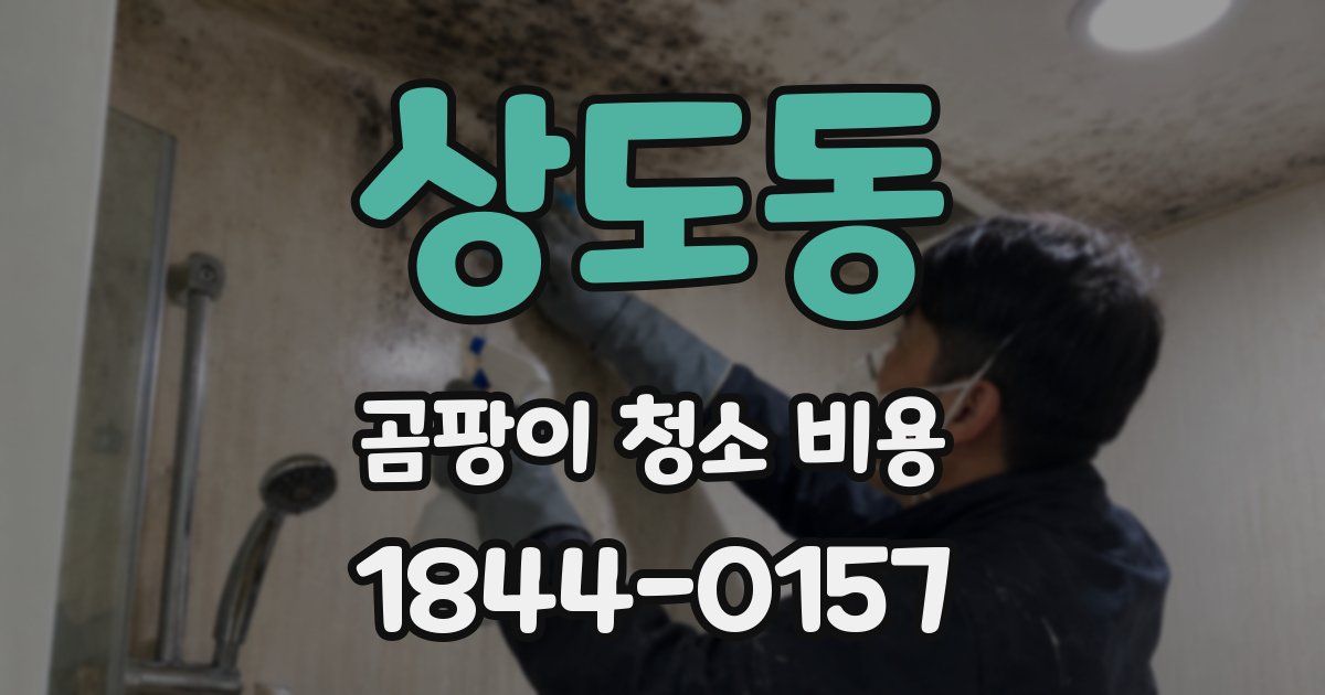 상도동 곰팡이 청소 비용