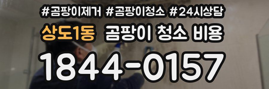 상도1동 곰팡이 청소 비용