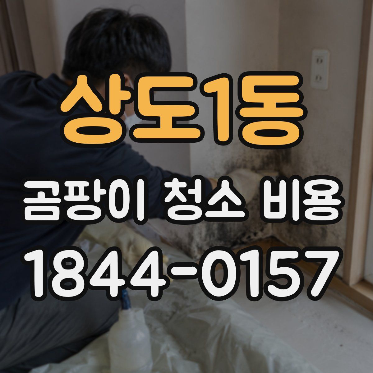 상도1동 곰팡이 청소 비용