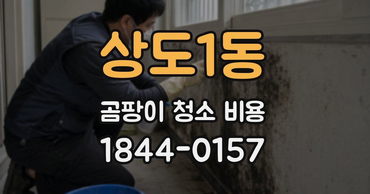 상도1동 곰팡이 청소 비용
