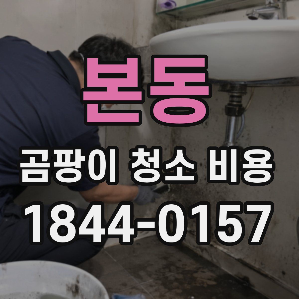 본동 곰팡이 청소 비용