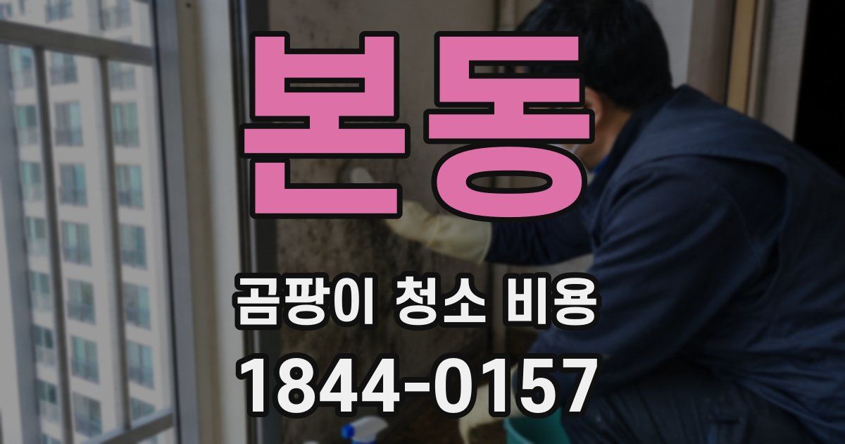 본동 곰팡이 청소 비용