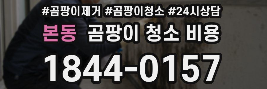 본동 곰팡이 청소 비용