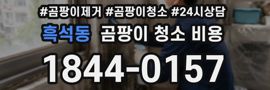 흑석동 곰팡이 청소 비용