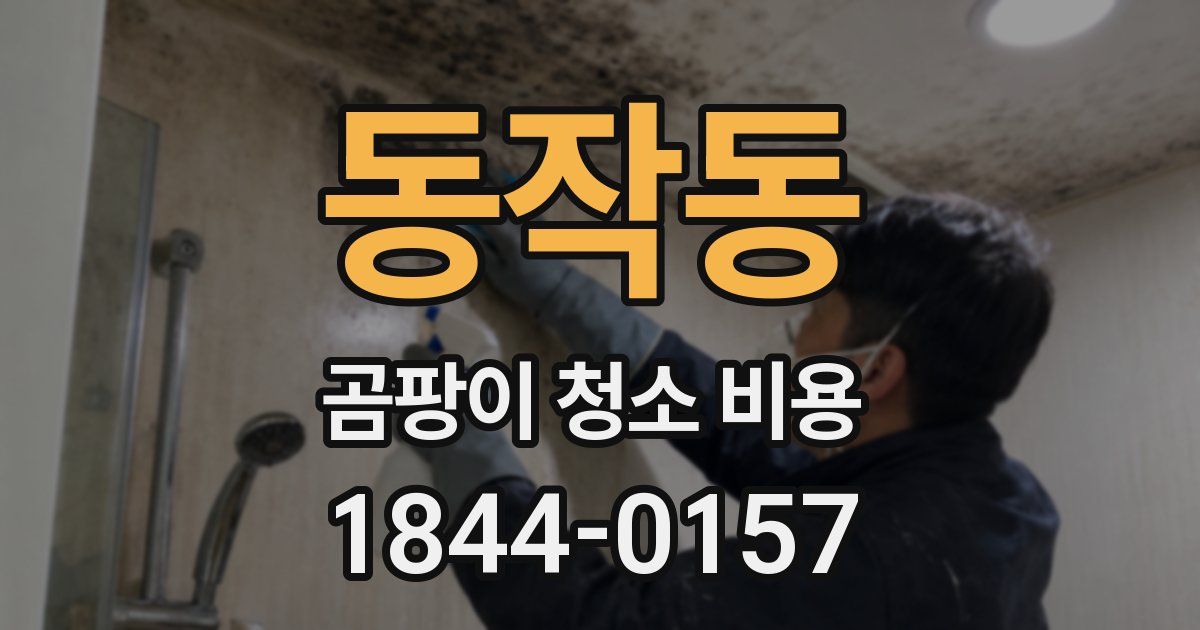 동작동 곰팡이 청소 비용