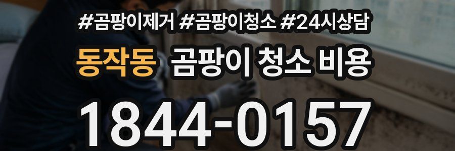 동작동 곰팡이 청소 비용