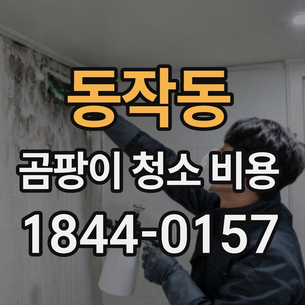동작동 곰팡이 청소 비용