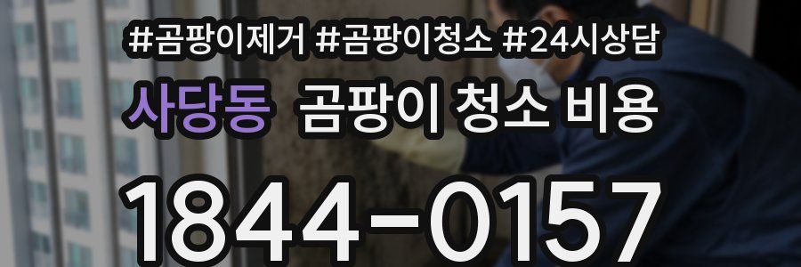사당동 곰팡이 청소 비용