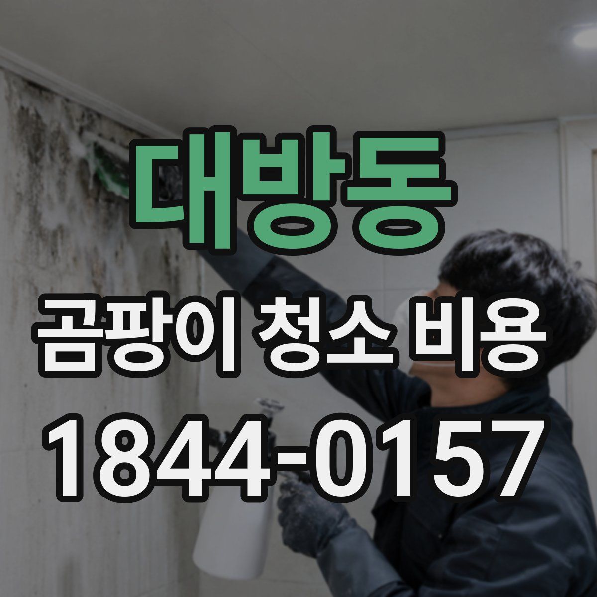 대방동 곰팡이 청소 비용