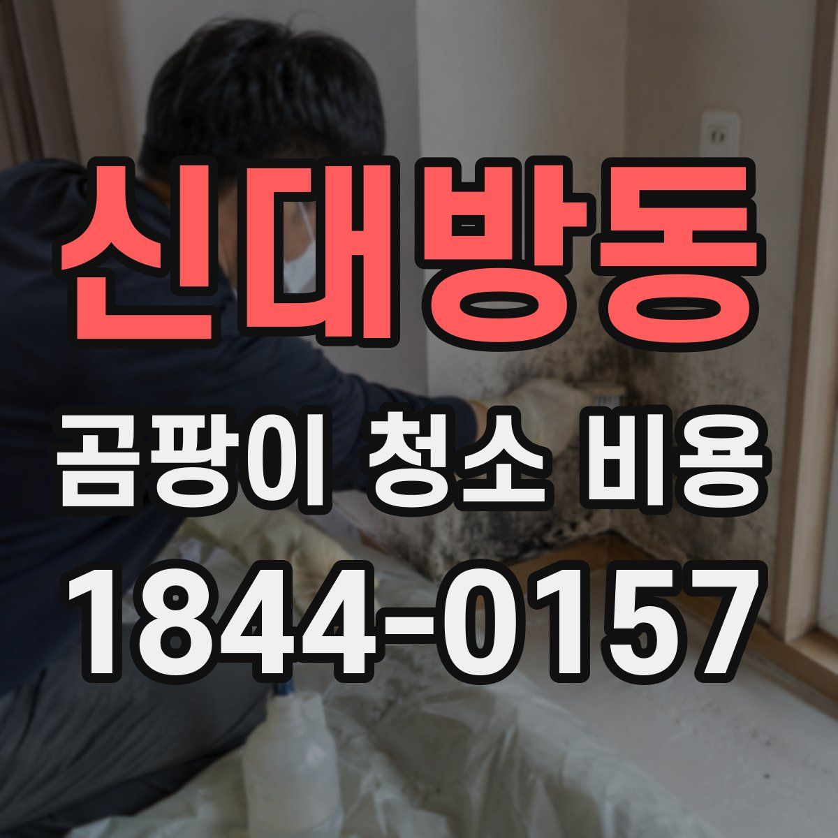 신대방동 곰팡이 청소 비용