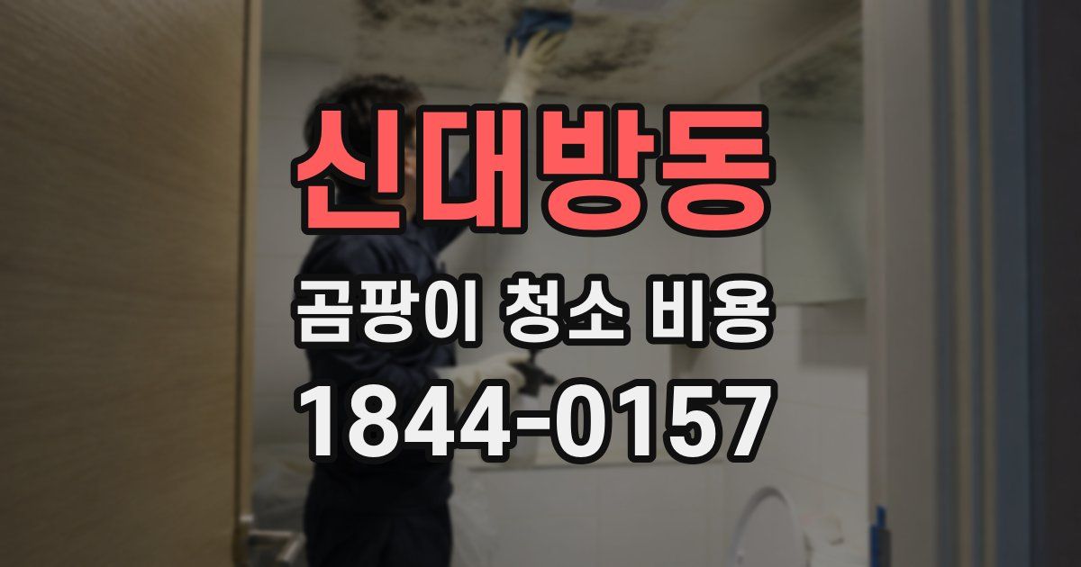 신대방동 곰팡이 청소 비용