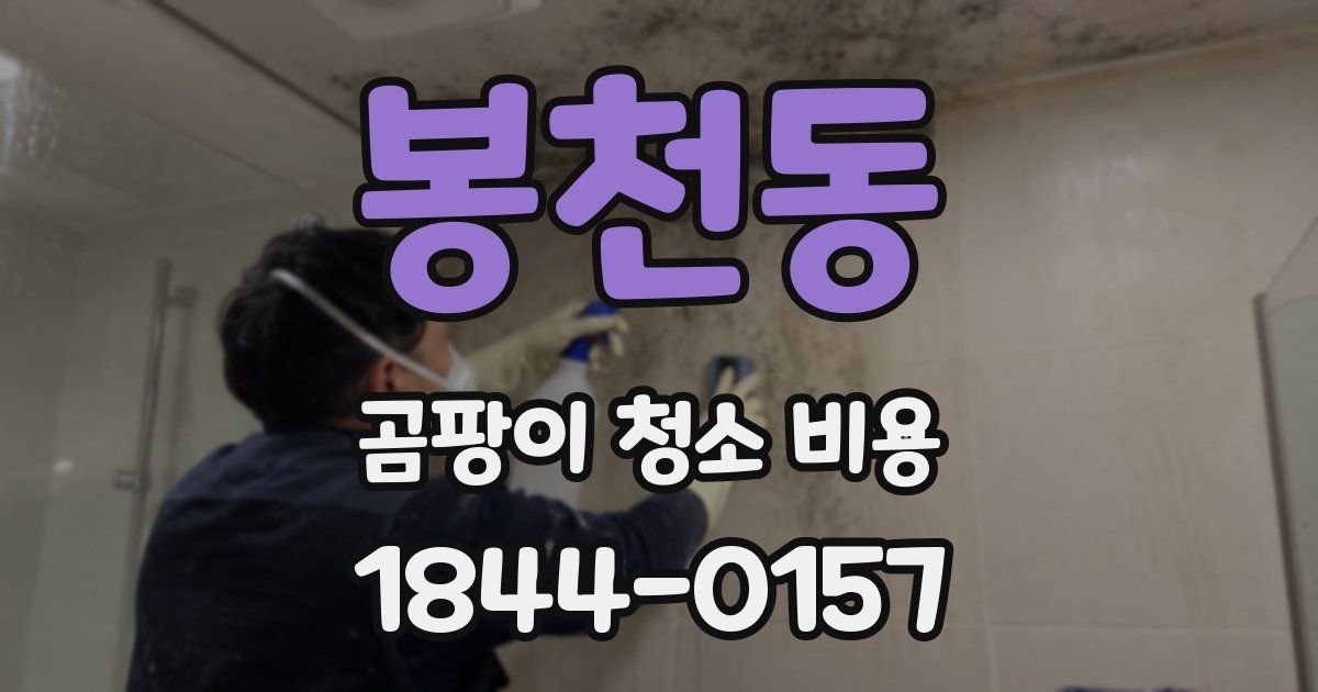 봉천동 곰팡이 청소 비용